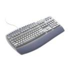 MS Internet Keyboard Pro 105 key PS2/USB